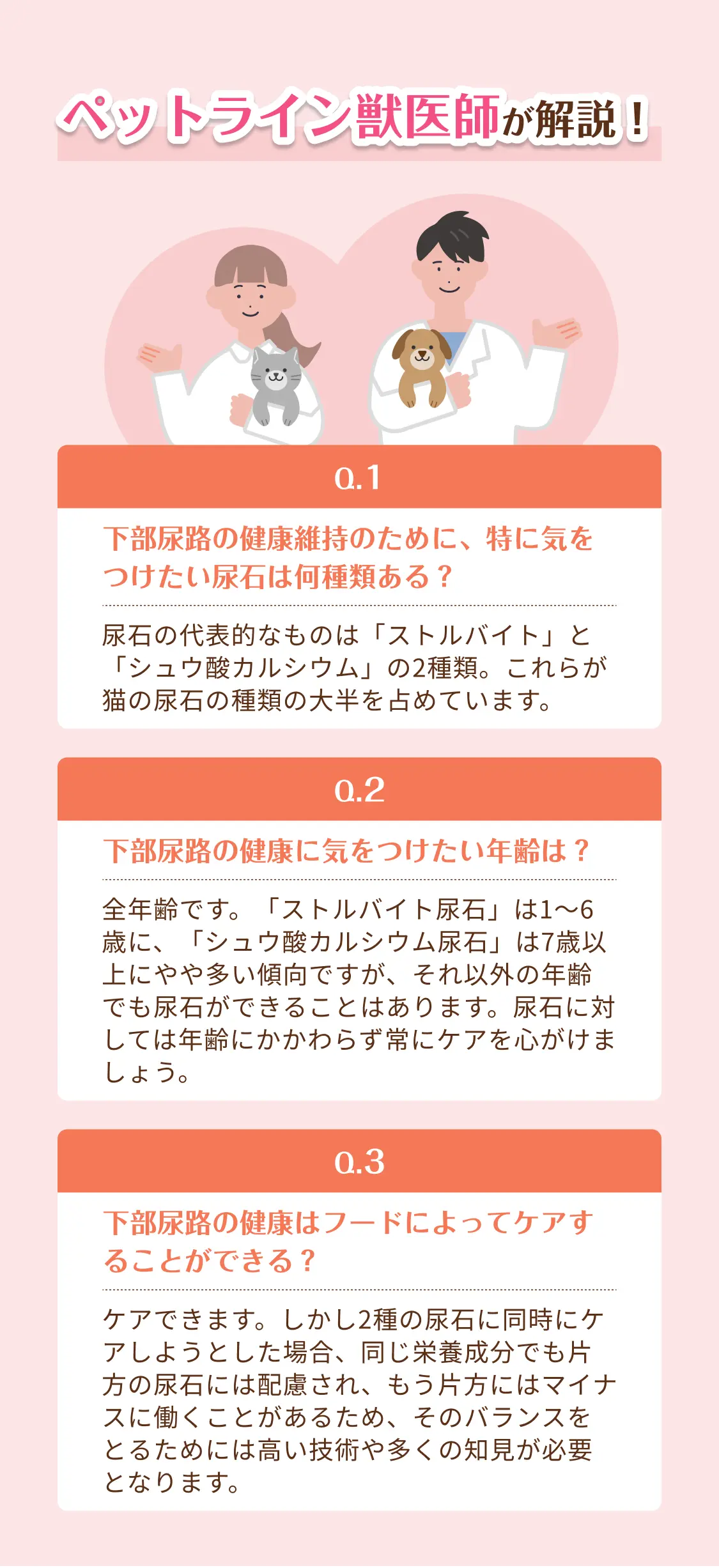 ペットライン獣医師が解説！下部尿路の健康維持のために、特に気をつけたい尿石は何種類ある？下部尿路の健康に気をつけたい年齢は？下部尿路の健康はフードによってケアすることができる？
