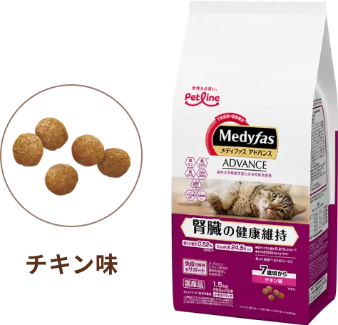 チキン味