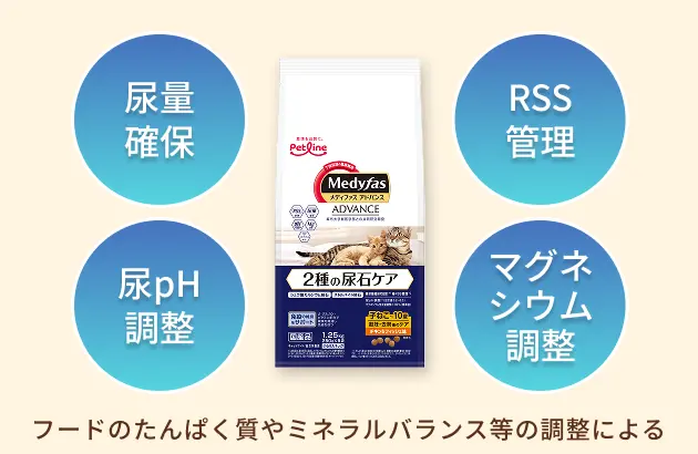 尿量確保 尿pH調整 RSS管理 マグネシウム調整