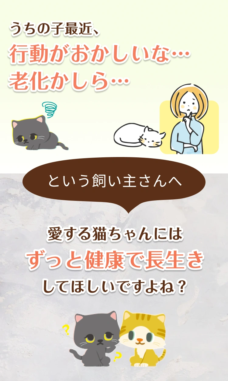 うちの子最近、行動がおかしいな…老化かしら…。という飼い主さんへ。愛する猫ちゃんにはずっと健康で長生きしてほしいですよね？
