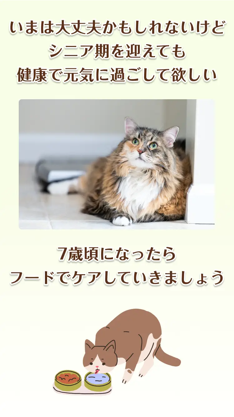 いまは大丈夫かもしれないけどシニア期を迎えても健康で元気に過ごして欲しい | 7歳頃になったらフードでケアしていきましょう