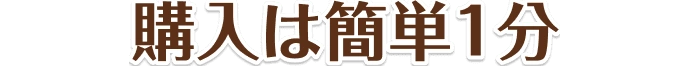 購入は簡単1分